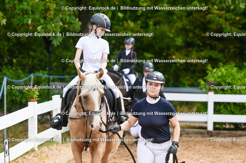 20230716_11_Führzügel-WB_0130 | equistock