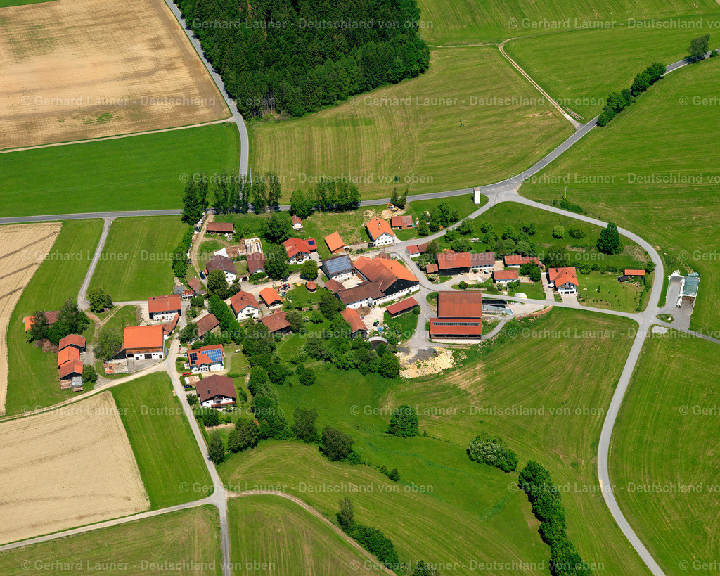 2724730 | Schnürring