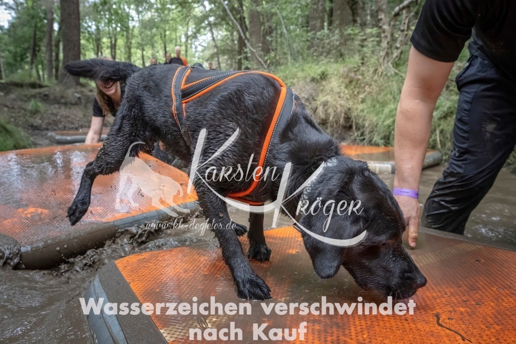 1201_ZZ96500T | kk-dogfotos