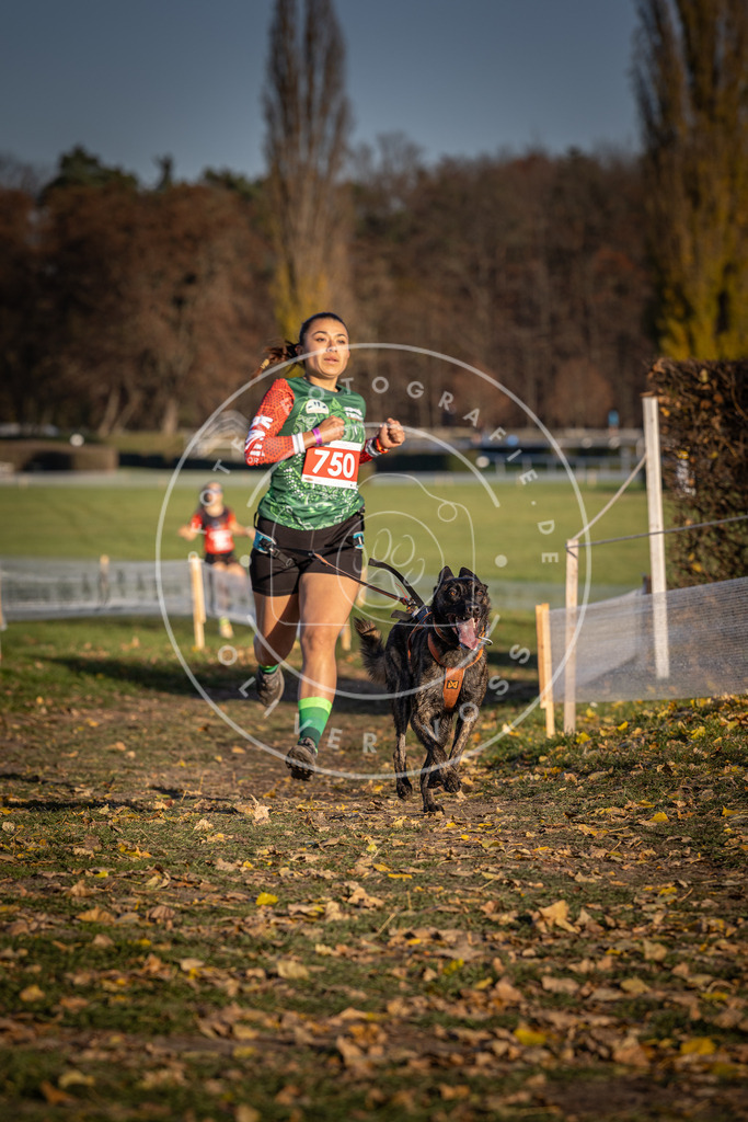 CaniXpix_DV3A2404 | Hundefotografie, Tierfotograf, Pfotenfotografie, Fotoshooting Hund, Hunde Portrait, Hundesport, Hundeportraits, Heideshooting, Hunde, Sportfotograf, Hundefotograf, Turnierhundsport, THS,  - Realisiert mit Pictrs.com
