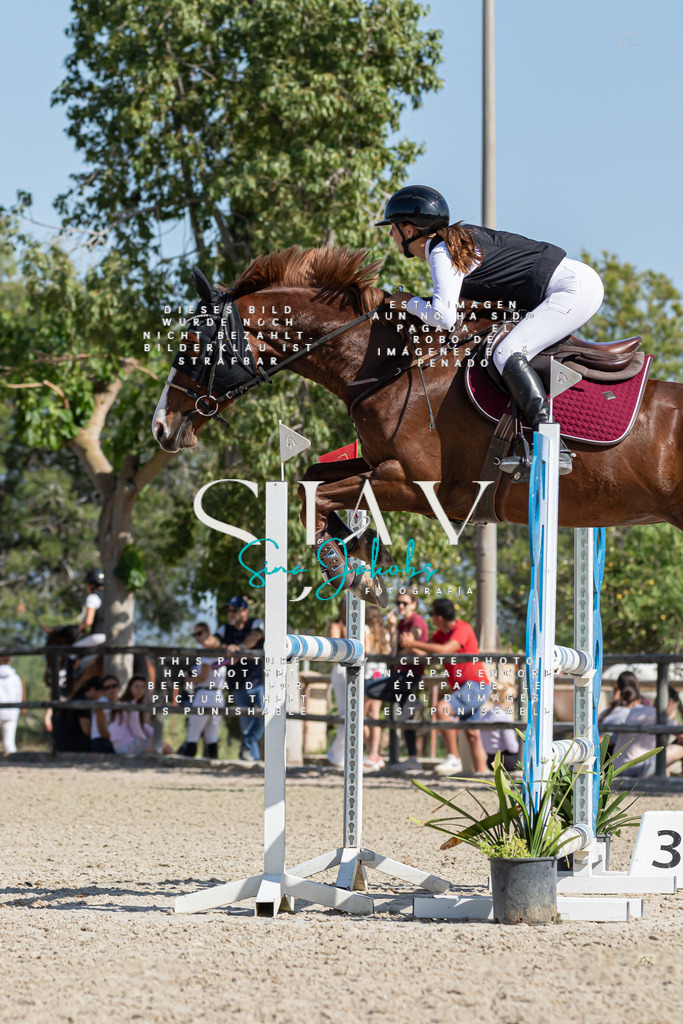 IMG_0963 | s-jay-photography - Realisiert mit Pictrs.com