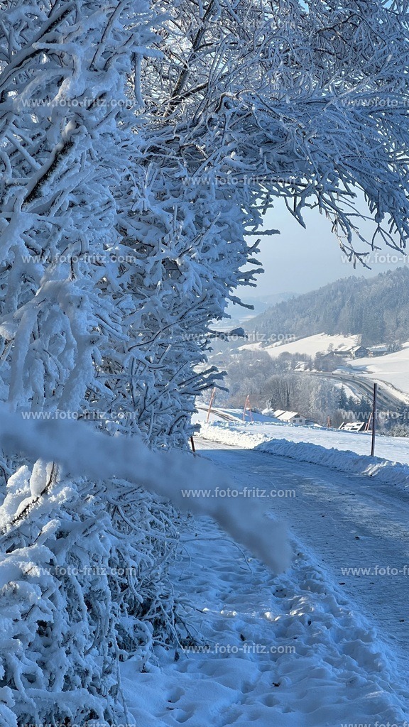 IMG_E6776 | www.foto-fritz.com - Realisiert mit Pictrs.com