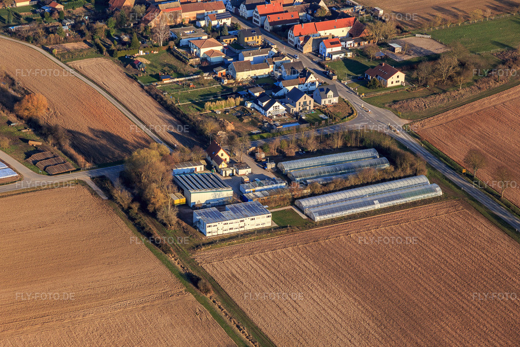 Luftbild: Grafenländer Gemüse in Freisbach im Bundesland Rheinland-Pfalz in Deutschland. – Foto: IMG_126066.jpg vom 07.03.2021 durch Werner Riehm/FLY-FOTO.de – Auflösung des Originals: 5289 x 3526 px – Grafenlaender Gemüse