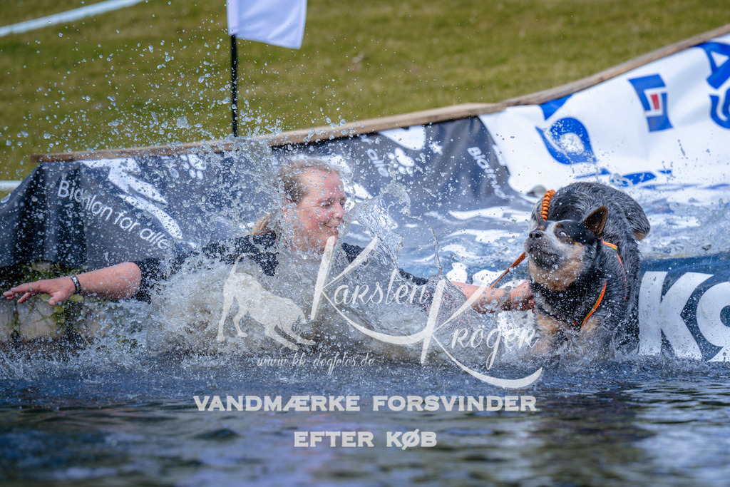 _ZZ997171057 | kk-dogfotos