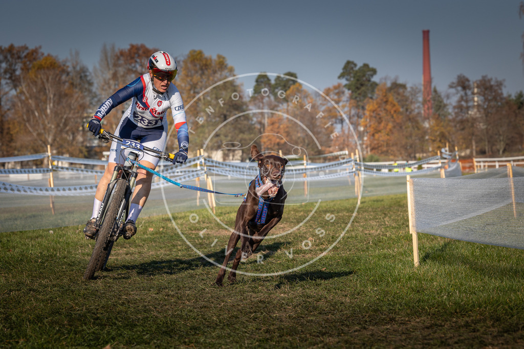 CaniXpix_0L8A6099 | Hundefotografie, Tierfotograf, Pfotenfotografie, Fotoshooting Hund, Hunde Portrait, Hundesport, Hundeportraits, Heideshooting, Hunde, Sportfotograf, Hundefotograf, Turnierhundsport, THS,  - Realisiert mit Pictrs.com
