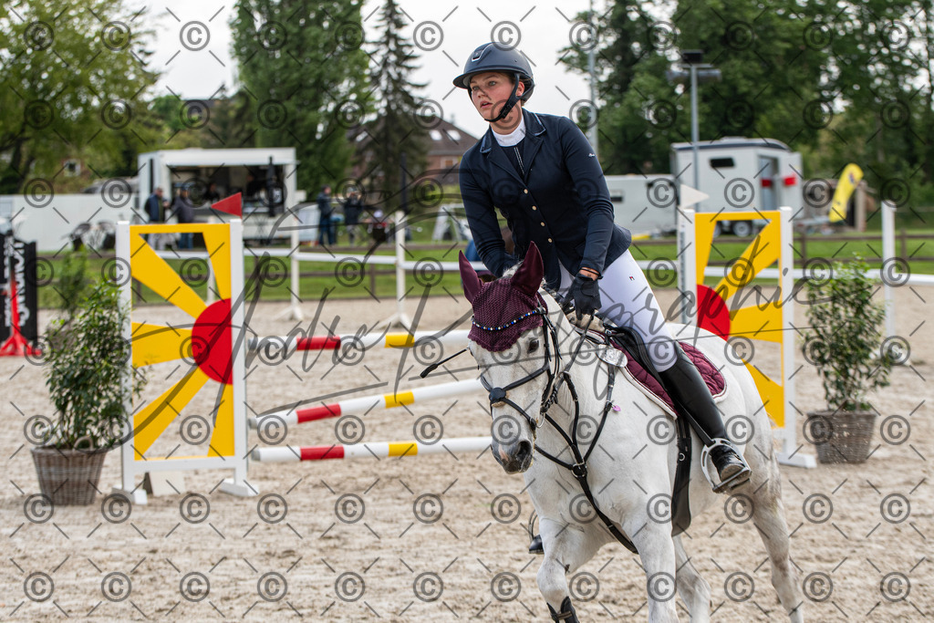 KPT_7943 | andre_photographic