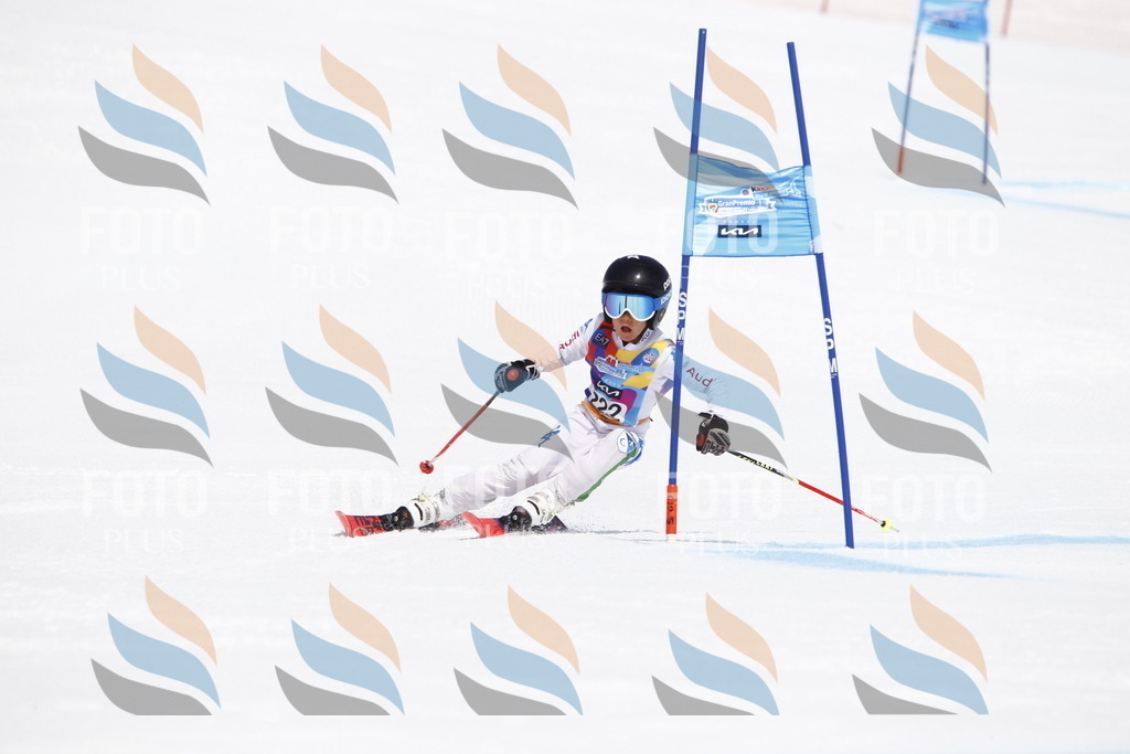 _U3G5719 | holidayphoto