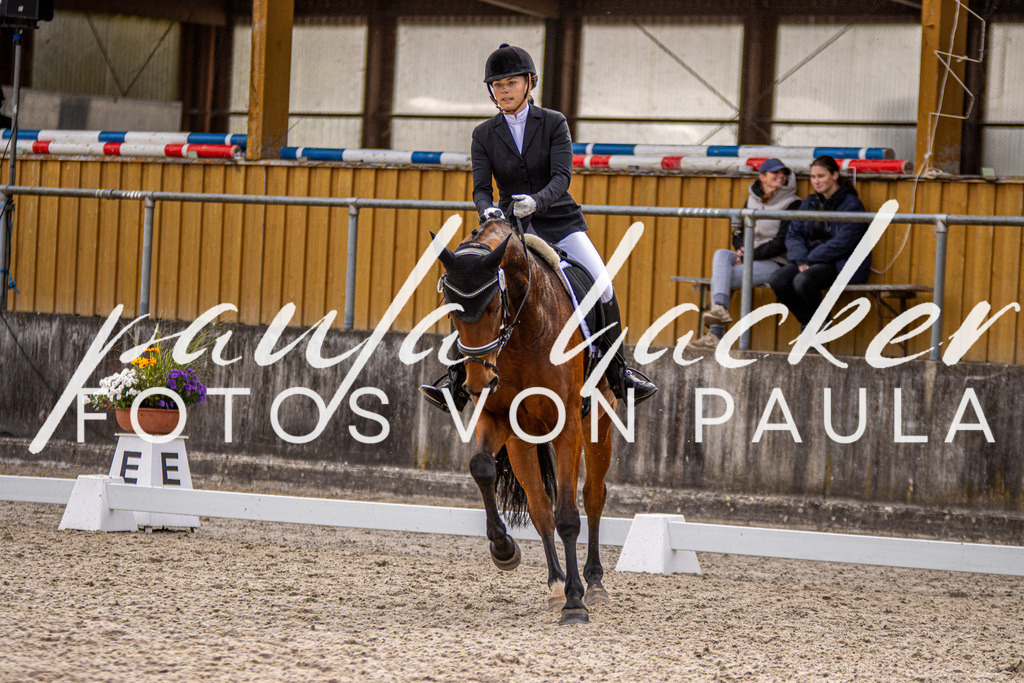 IMG_3379 | Erleben Sie dynamische Sport- und emotionale Tierfotografie in Süddeutschland mit Fotos von Paula. Spezialisiert auf Pferde- und Hundefotografie sowie Sportevents. Kontaktieren Sie mich für einzigartige und ausdrucksstarke Bilder Ihrer besonderen Momente. - Realisiert mit Pictrs.com