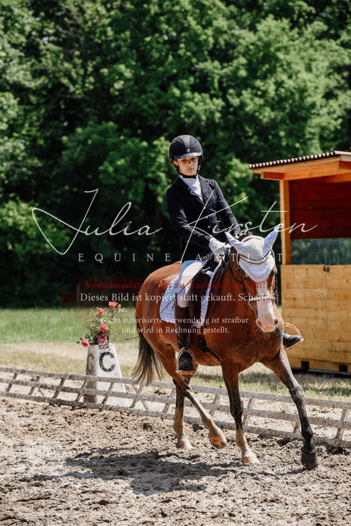 DSC_1917 | Pferde- und Turnierfotografie in Westsachsen. Pferdeportraits, Auftragszeichnungen und intuitive Kunst.