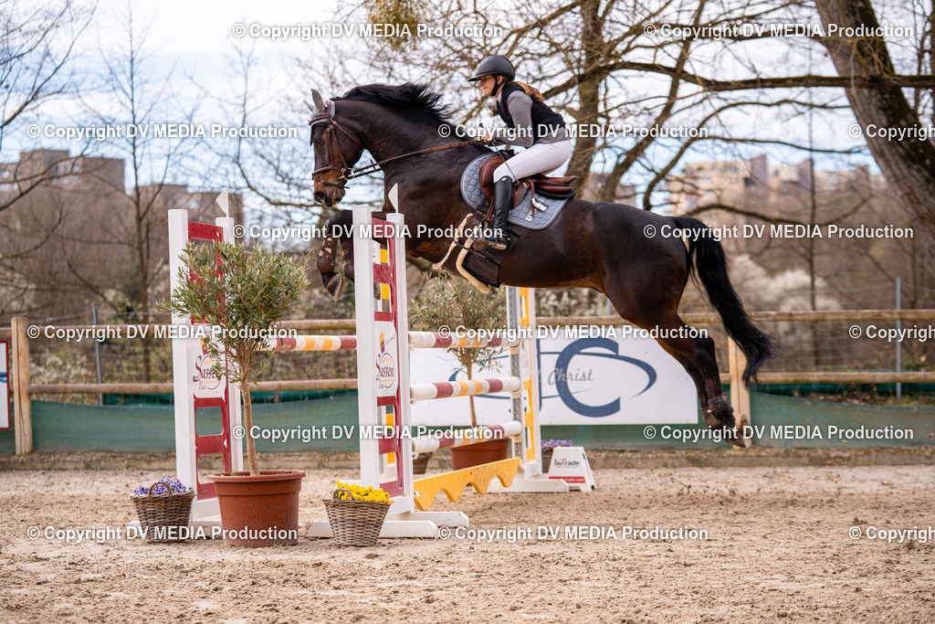 Kranichstein Tag 2-644 | dv-media-shop - Realisiert mit Pictrs.com