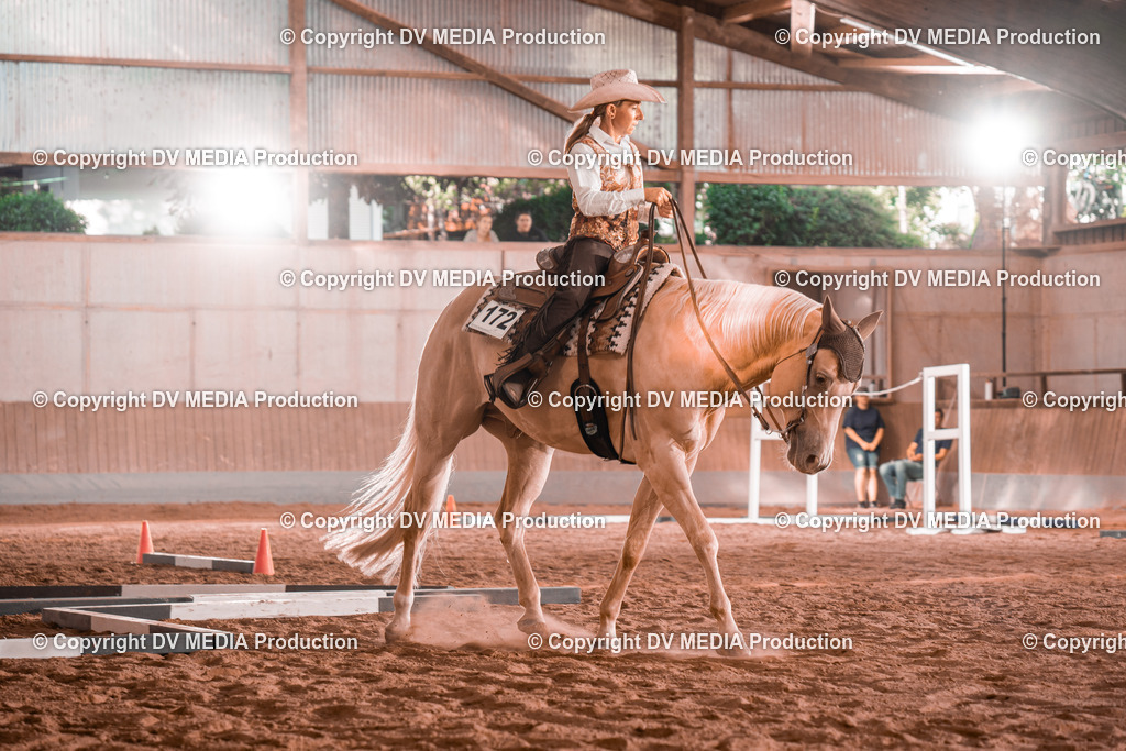 NE300175 | dv-media-shop - Realisiert mit Pictrs.com