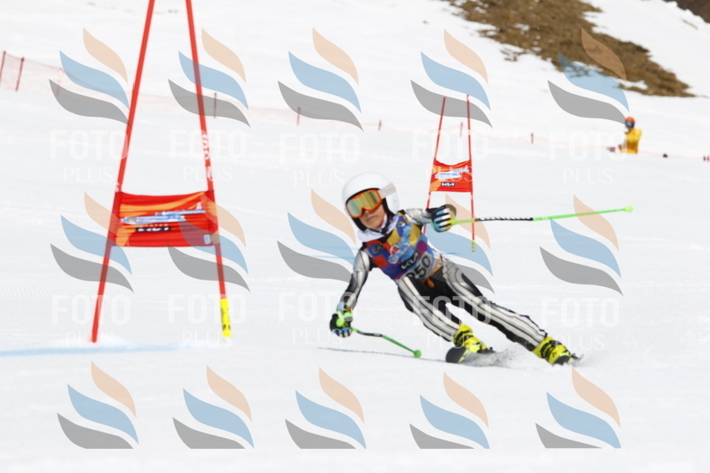 _U3G6323 | holidayphoto