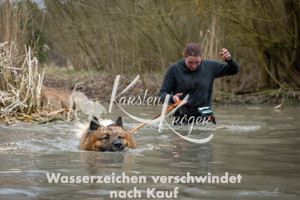 1404_ZZ96331 | kk-dogfotos