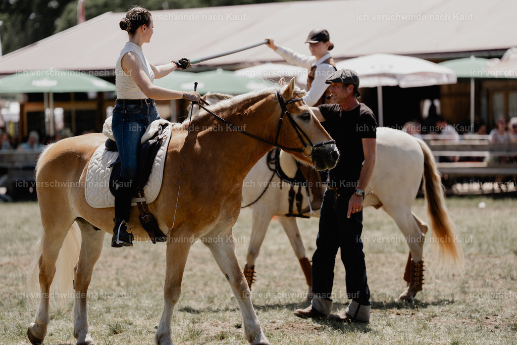 _DSC6979 | working equitationturnier fotograf videograf stoibphotography marixx film working equitation deutschland reitsport turnierfotografie eventfotografie equestrian events