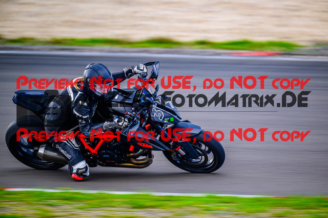 MaZZes_FotoMatrix_240911_6007705_7380 | GRUEN