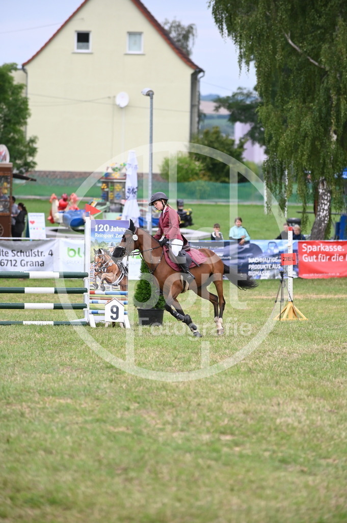 DSC_5050 | sattelsport - Realisiert mit Pictrs.com