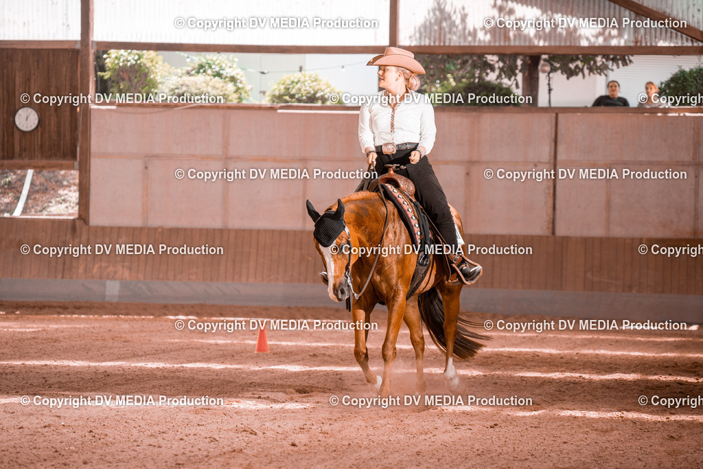 NE300635 | dv-media-shop - Realisiert mit Pictrs.com