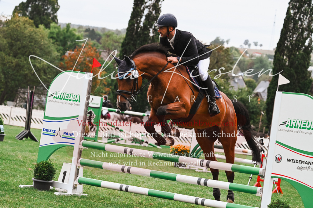 DSC_6332 | Pferde- und Turnierfotografie in Westsachsen. Pferdeportraits, Auftragszeichnungen und intuitive Kunst.