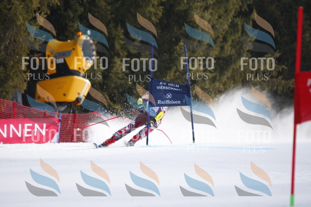 D7951 | holidayphoto