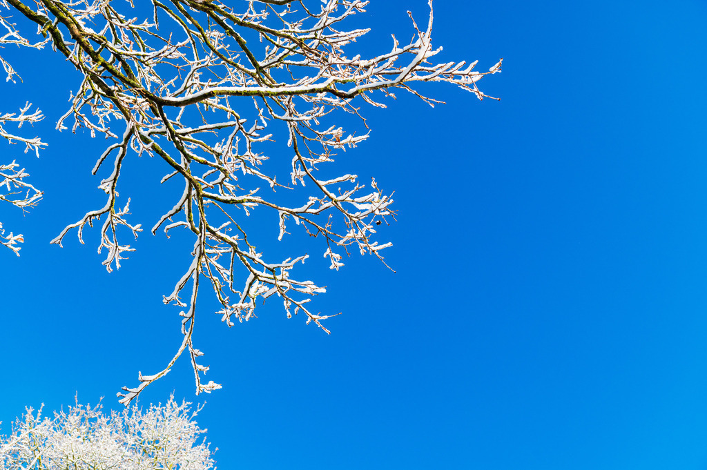 2023_03_11_MCP7167 | Hochwertig gedruckte Fotografien für die Wand, als Kalender und zum Verschenken. Hamburg & Norddeutschland und überall wo ich mit der Kamera unterwegs war.
