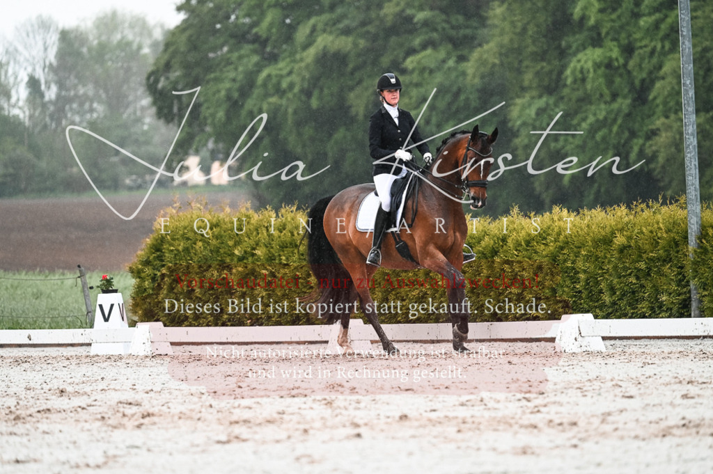 DSC_4589 | Pferde- und Turnierfotografie in Westsachsen. Pferdeportraits, Auftragszeichnungen und intuitive Kunst.