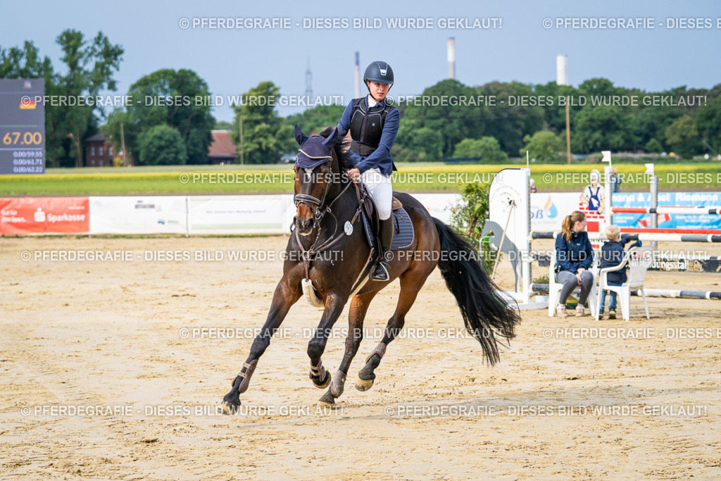 DSC03686 | Pferdegrafie