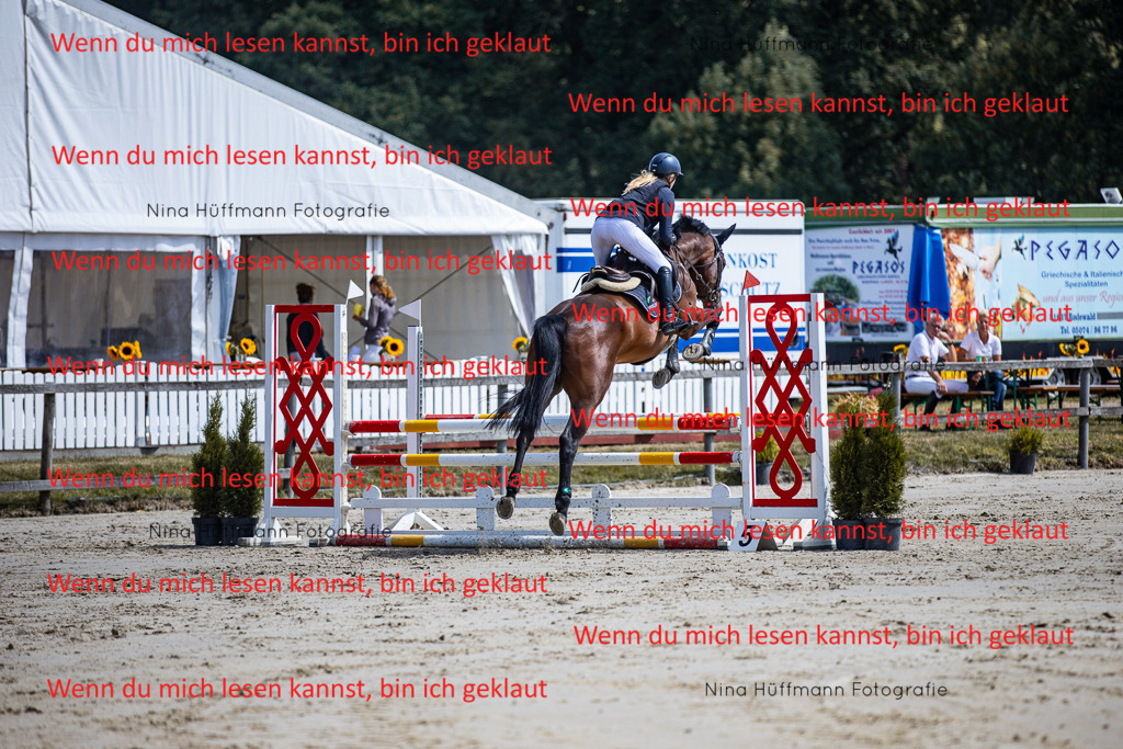 BK1A5082 | Turnierbilder Turnierfotos Nina Hüffmann Turnierfotografie Pferdefotografie Tierzeichnung Haustierzeichnung Pferdezeichnung Hundezeichnung Videograf  - Realisiert mit Pictrs.com