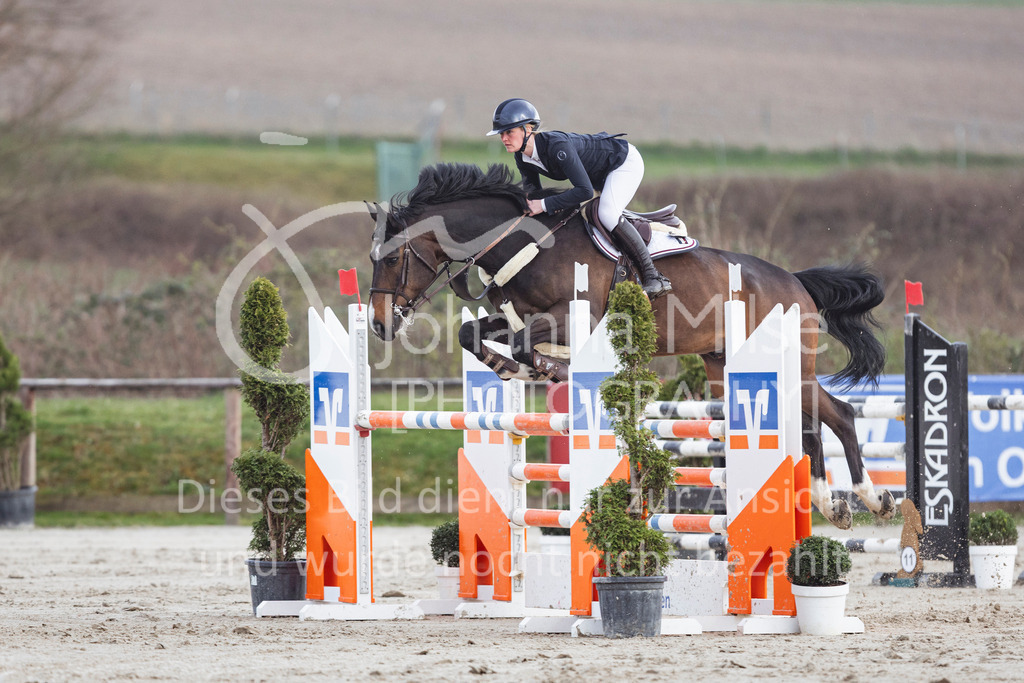 260404_Fruehlingsfest_M-Spr-623 | Deine schönsten Turniermomente als professionelle Fotos! Entdecke hochwertige Pferdesport-Fotografie im Online-Shop. Jetzt Fotos finden & bestellen!
