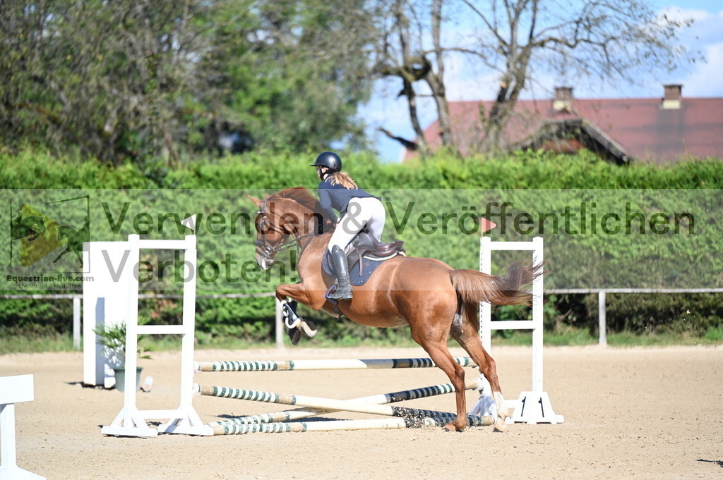 DSC_8011 | equestrian-live-com