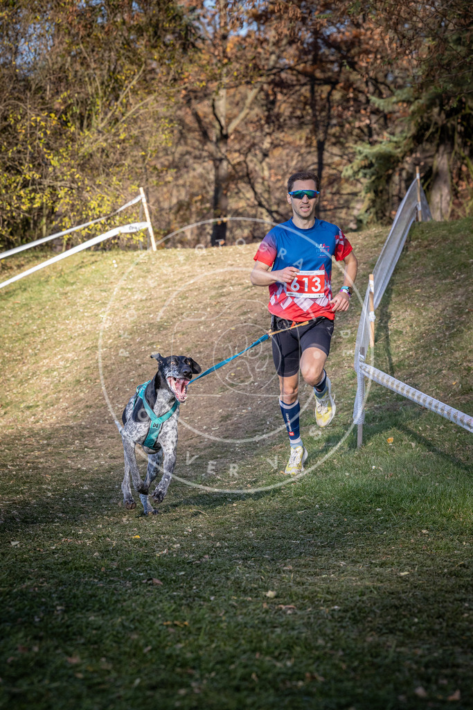 CaniXpix_0L8A8713 | Hundefotografie, Tierfotograf, Pfotenfotografie, Fotoshooting Hund, Hunde Portrait, Hundesport, Hundeportraits, Heideshooting, Hunde, Sportfotograf, Hundefotograf, Turnierhundsport, THS,  - Realisiert mit Pictrs.com