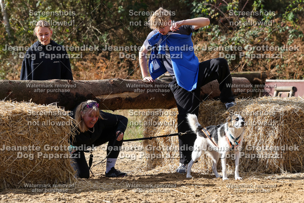 Dog Paparazzi - Strongdog 10-25-5181 | Dog Paparazzi Jeanette Grottendiek Fotografie & Videografie - Realisiert mit Pictrs.com