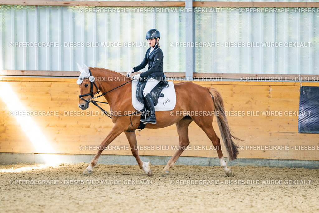 DSC03023 | Pferdegrafie