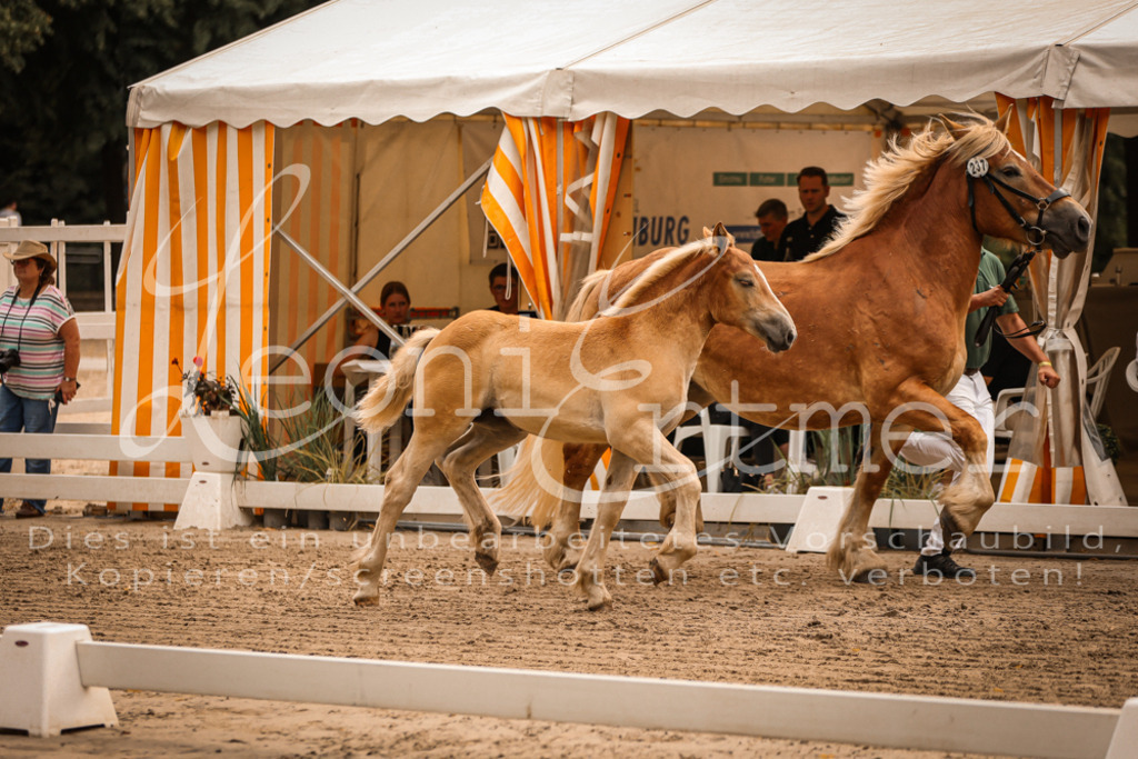 SaSF00104 | Leoni Ertmer Photography - Realisiert mit Pictrs.com