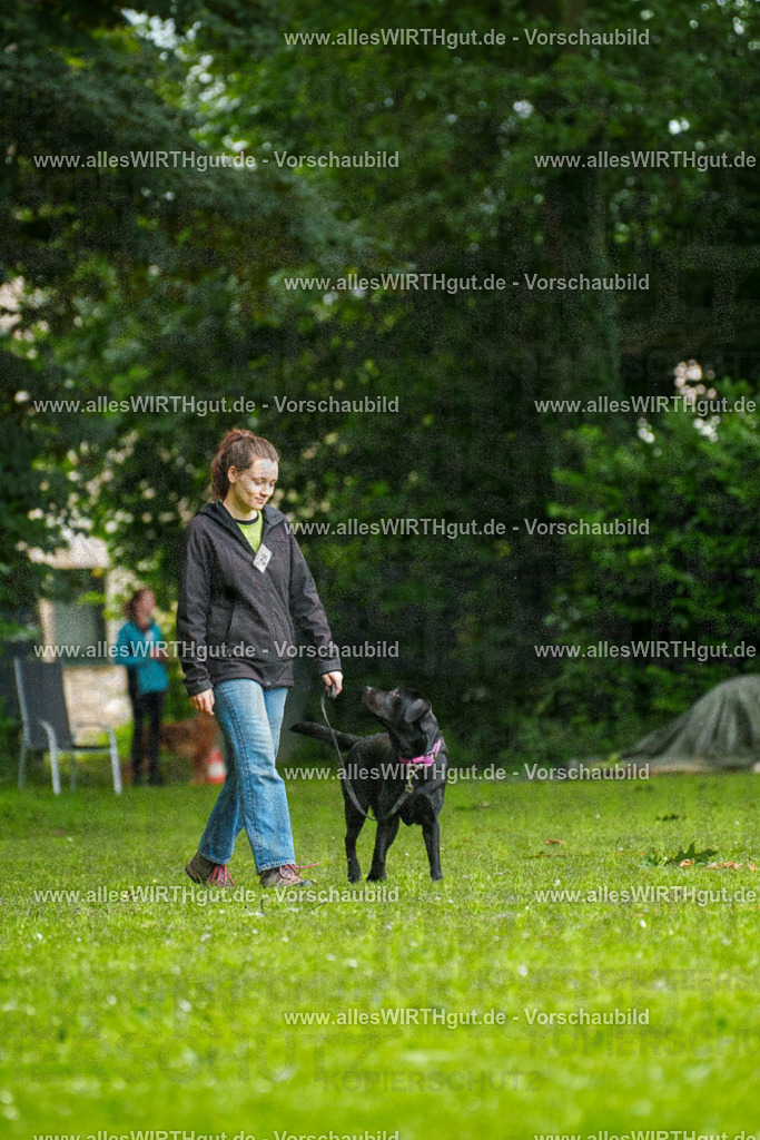 @allesWIRTHgut_Tierfotografie - www.allesWIRTHgut.de - 101417-7R508191 | Professionelle Tierfotografie in Mönchengladbach von Daniel Wirth (allesWIRTHgut). Liebevolle & natürliche Bilder von Hunden & Katzen für unvergessliche Erinnerungen.