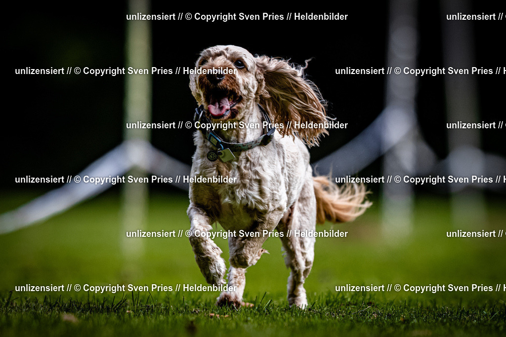 Sven Pries | 2025-10-03 - Hunderennen Obergrombach - Realisiert mit Pictrs.com