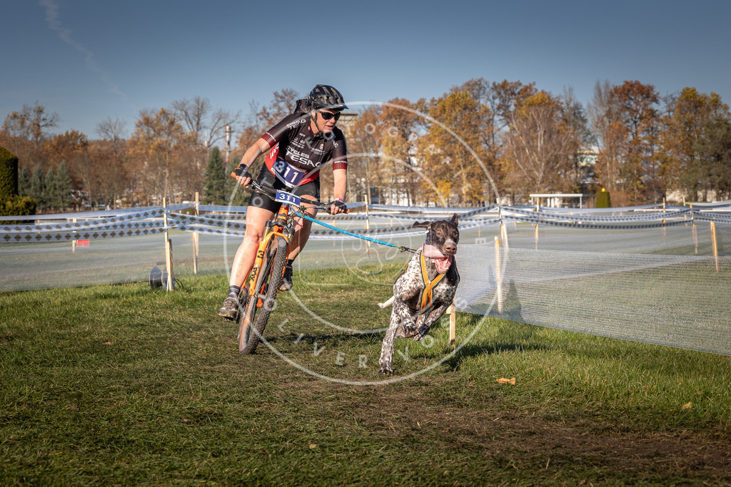 CaniXpix_0L8A5595 | Hundefotografie, Tierfotograf, Pfotenfotografie, Fotoshooting Hund, Hunde Portrait, Hundesport, Hundeportraits, Heideshooting, Hunde, Sportfotograf, Hundefotograf, Turnierhundsport, THS,  - Realisiert mit Pictrs.com