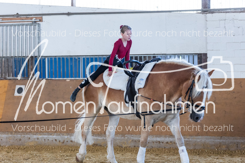 SS-Mini-105 | MomenTaufnahmen Pferdesportfotos