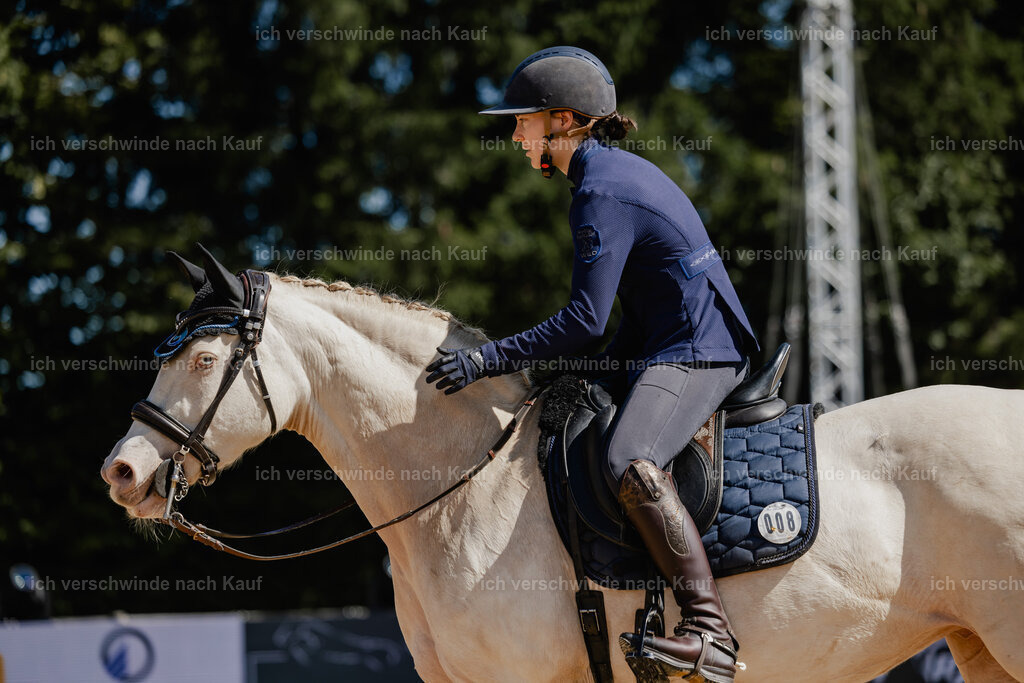 Nici11_FHC2025-27249 | working equitationturnier fotograf videograf stoibphotography marixx film working equitation deutschland reitsport turnierfotografie eventfotografie equestrian events