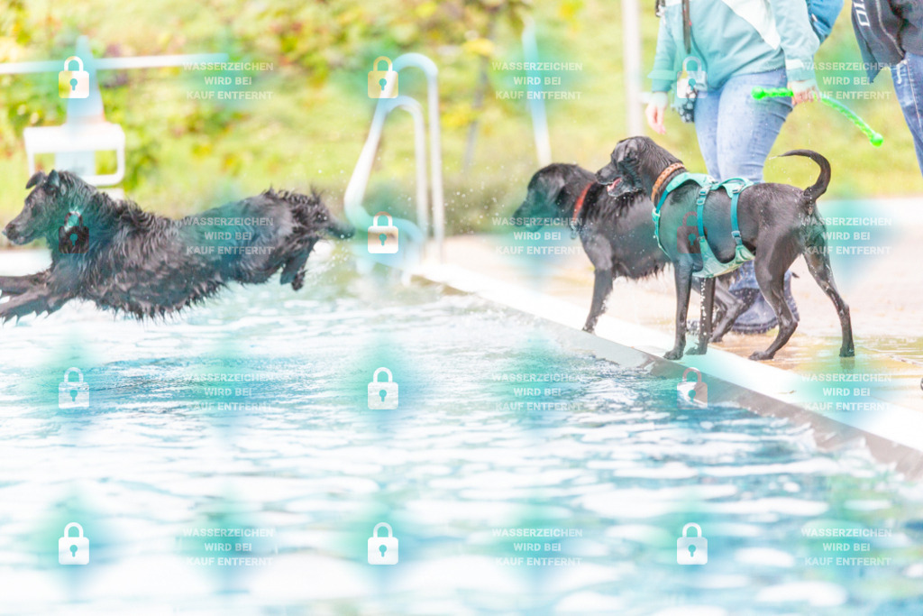 _HP_7314_1000o | HetPix, HetPix Fotodesign, Fotografie, Fotodesign, Webshop, Sportfotografie, Portraitfotografie, Onlineshop, Sportfotografie, Polch, Motorsportfotografie, Eventfotografie