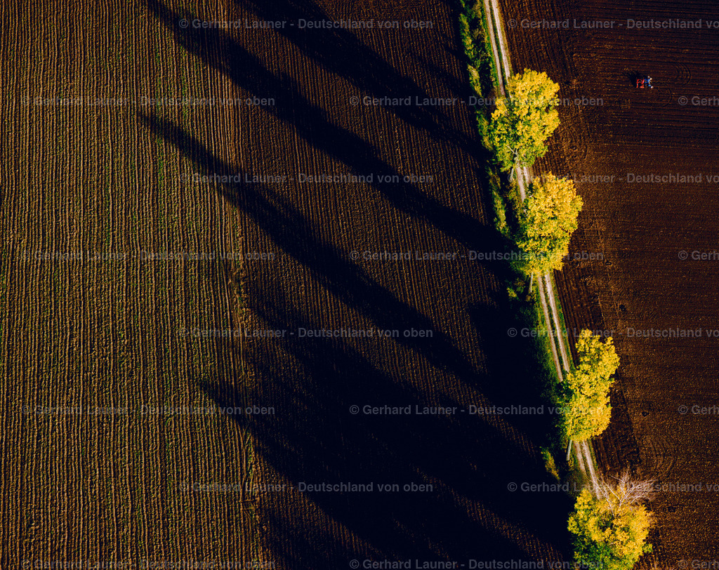 9300094 | Herbstbäume bei Geiselhöring