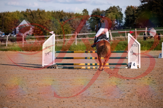 2026_10_03_Siefer-Hof_171217_Z81_09388077 | Professionelle Reitsport-, Turnier- und Eventfotografie von Robert Broda. Galerien mit ausgewählten und bearbeiteten Bildern direkt online ansehen und bestellen.