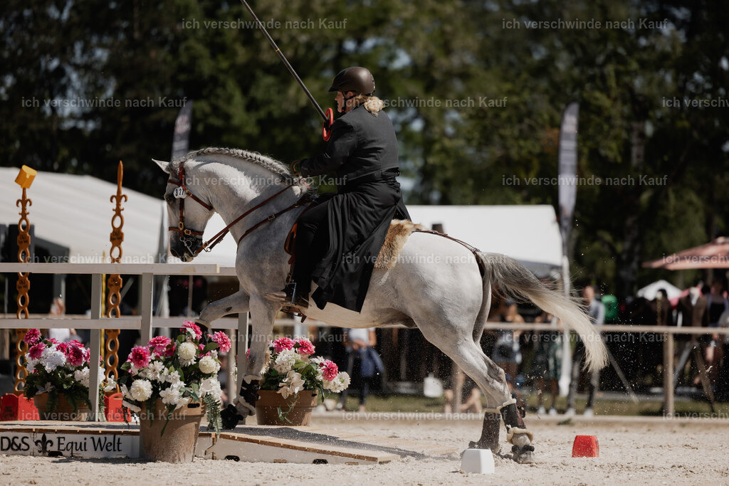 WE_SP_Stoib_321_PI2025_1590 | Pferd International München 2025