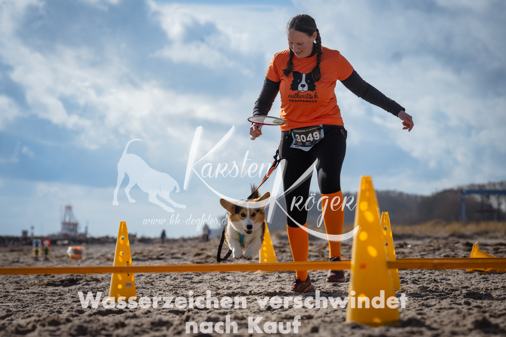 1252_ZZ99237 | kk-dogfotos
