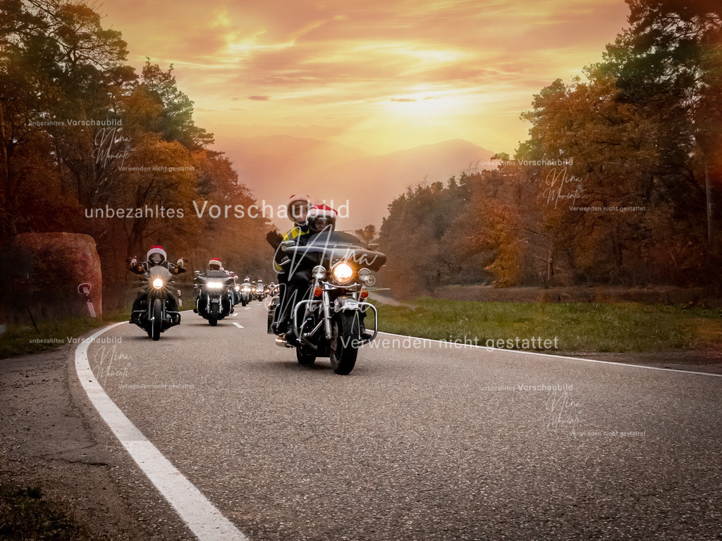 _16A2900-1 | Einzigartige Fotos von Hunden & Menschen –Actionfotos, Portraits, Vereinsaufnahmen & Paarshootings – authentisch, lebendig & mit Herz.