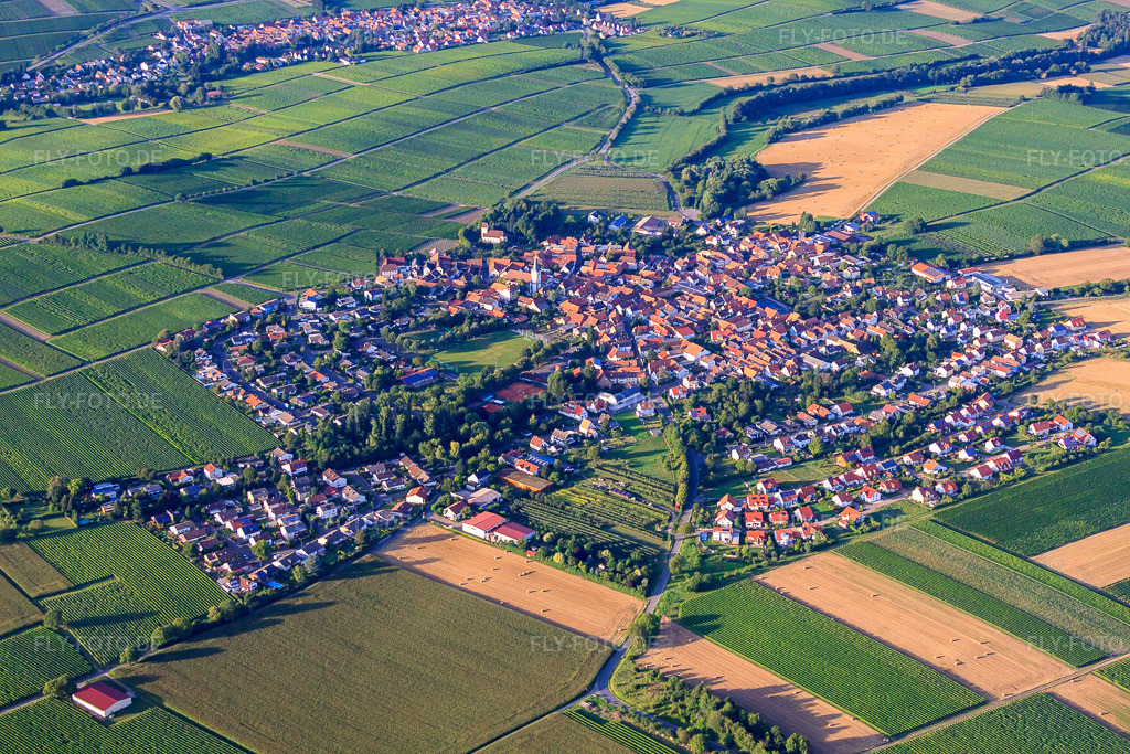 Luftbild: Ortsansicht von Südwesten im Ortsteil Mörzheim in Landau im Bundesland Rheinland-Pfalz in Deutschland. Foto: IMG_51348.jpg vom 04.08.2012 durch Werner Riehm/FLY-FOTO.deAuflösung des Originals: 4752 x 3168 px
