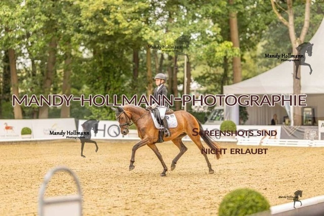 28-8-26 5j DRE-739 | mandyhollmannphotographie