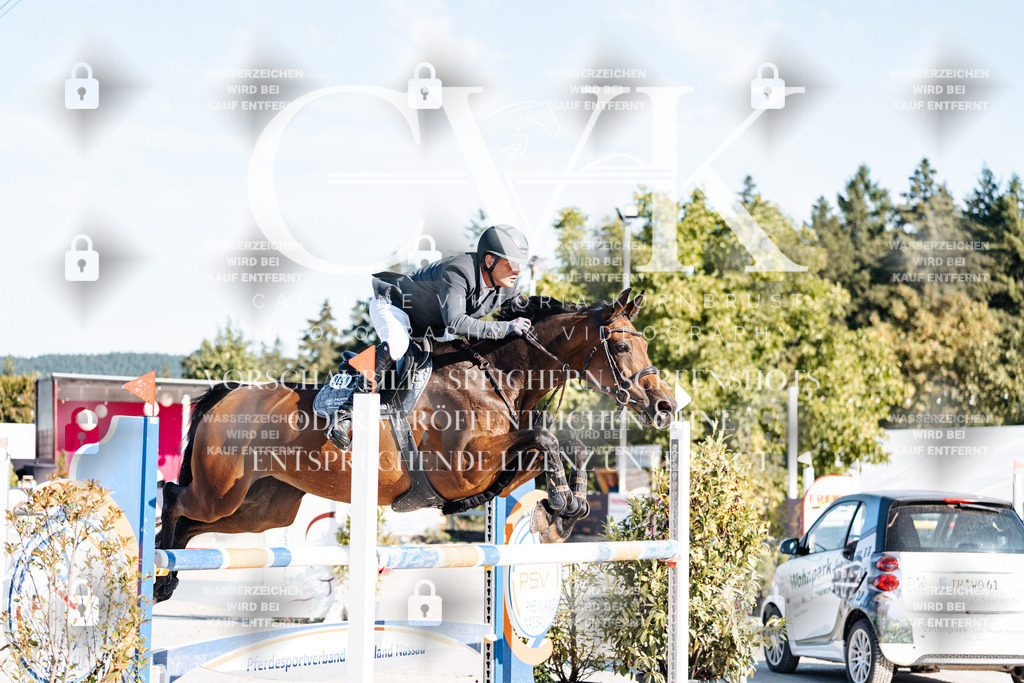 CK904087 | Turnierfotografie Pferdefotografie Trier Rheinland-Pfalz Pferdesport Reitsport Tierfotografie Sportfotografie Pferdevideo Pferdevideografie Equestrianvideography equestrianphotography  - Realisiert mit Pictrs.com