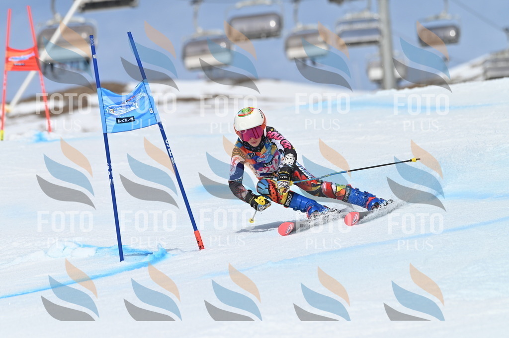 BGV_1201 | holidayphoto