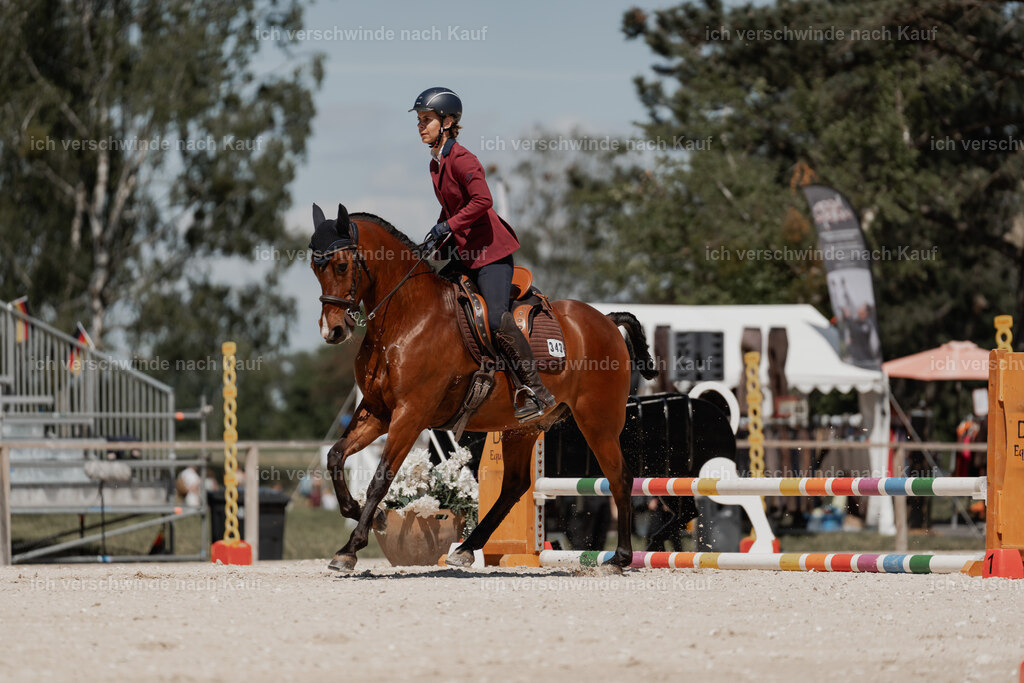 WE_ST_Stoib_343_PI2025_1307 | Pferd International München 2025