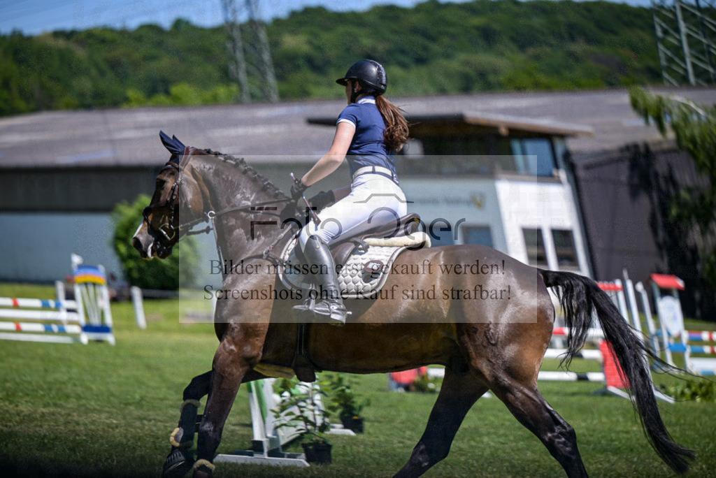 Reitturnier Voxtrup | Entdecke hochwertige Reitturnierfotos von Foto Oger. Professionell, emotional und authentisch – jetzt Lieblingsmomente im Shop bestellen. - Realisiert mit Pictrs.com